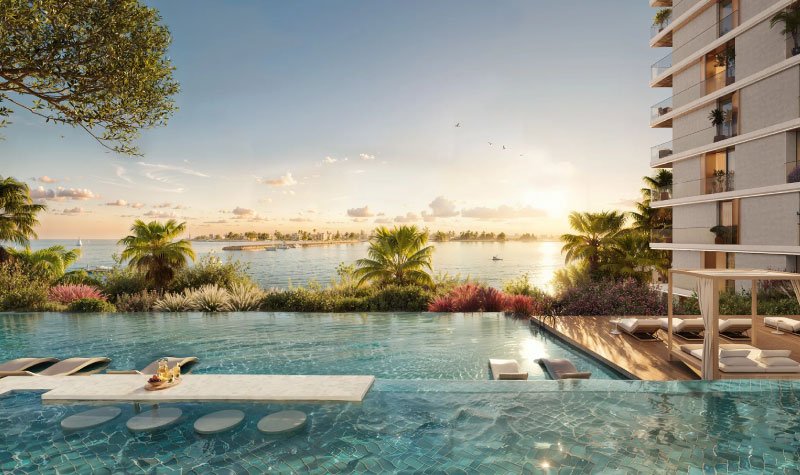 dxb advisor project